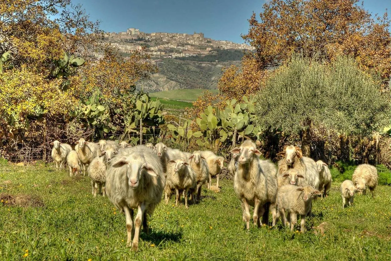 Le Querce Di Cota Villa Troina Farm stay