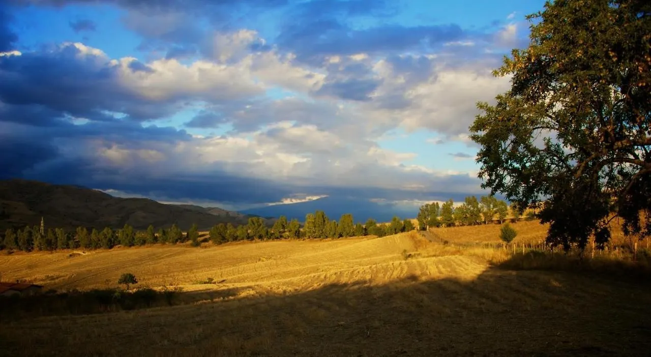 Farm stay Le Querce Di Cota Villa Troina Italy