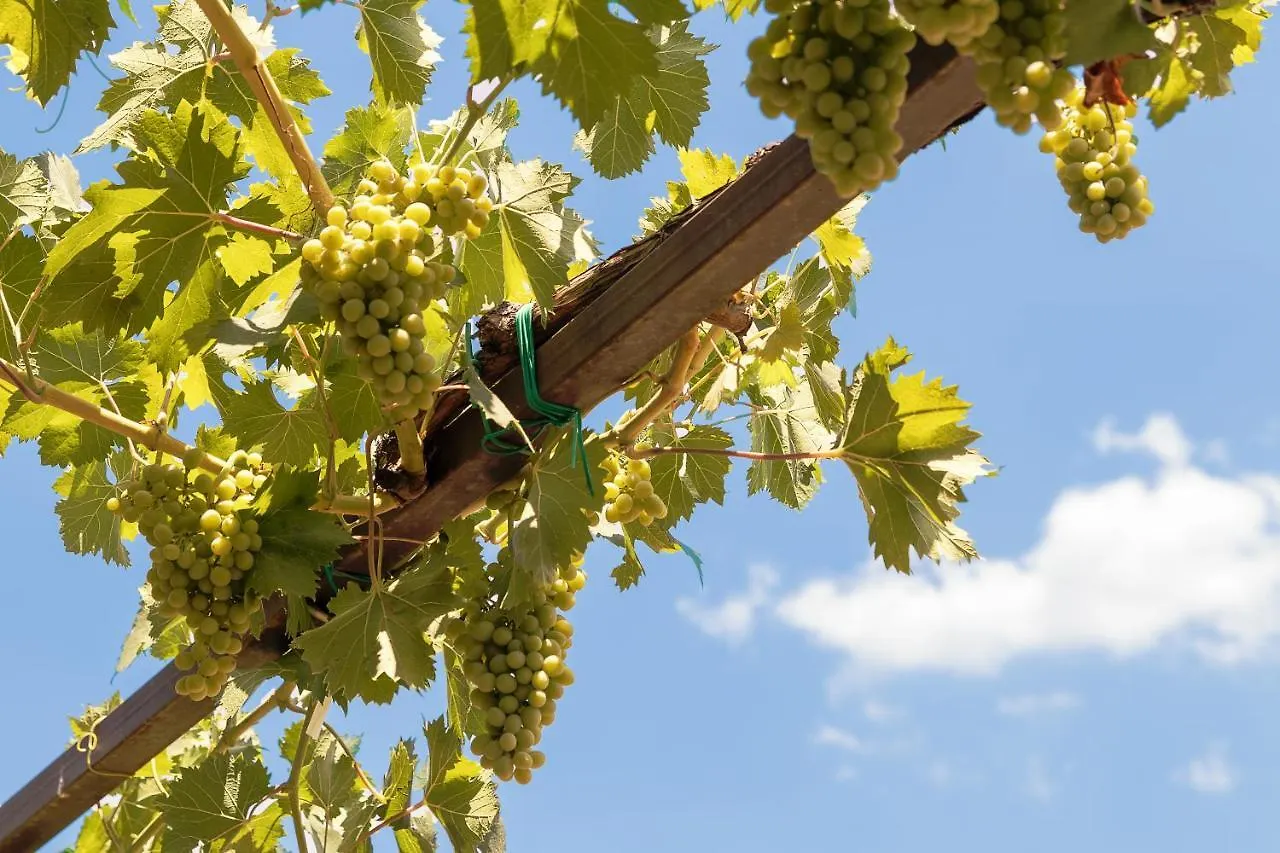 Le Querce Di Cota Villa Troina 0*,