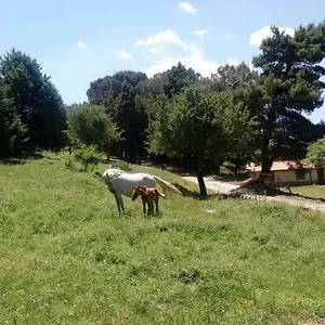 Bosco Pianetti Vakantieboerderij