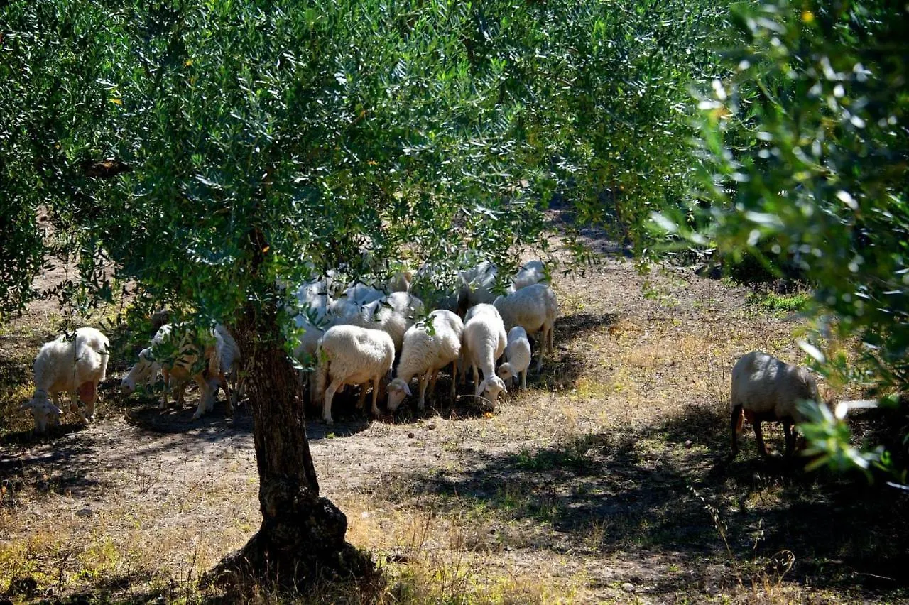 Feriegård Le Querce Di Cota Villa Troina Italien